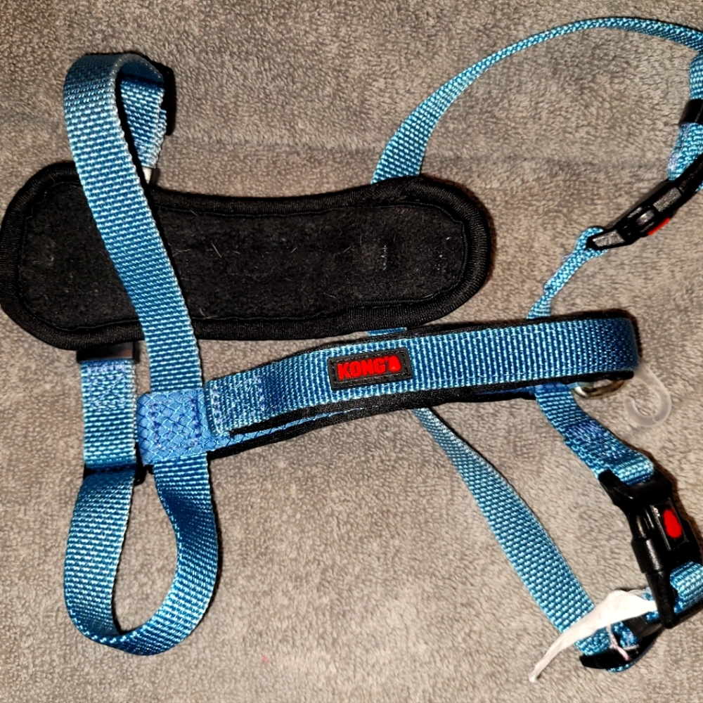 Kong Dog Comfort Padded Harness - Small, Blue
